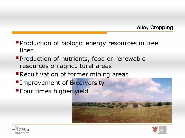 Alley Cropping § Production of biologic energy resources in tree lines § Production of