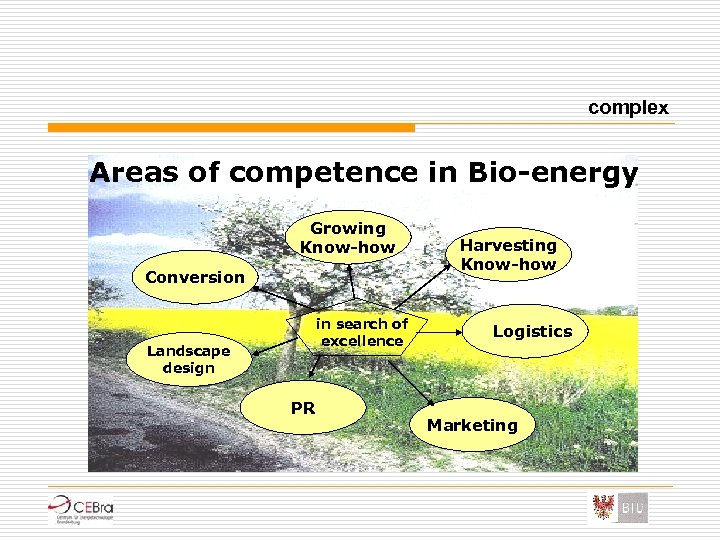 complex Areas of competence in Bio-energy Growing Know-how Conversion in search of excellence Landscape