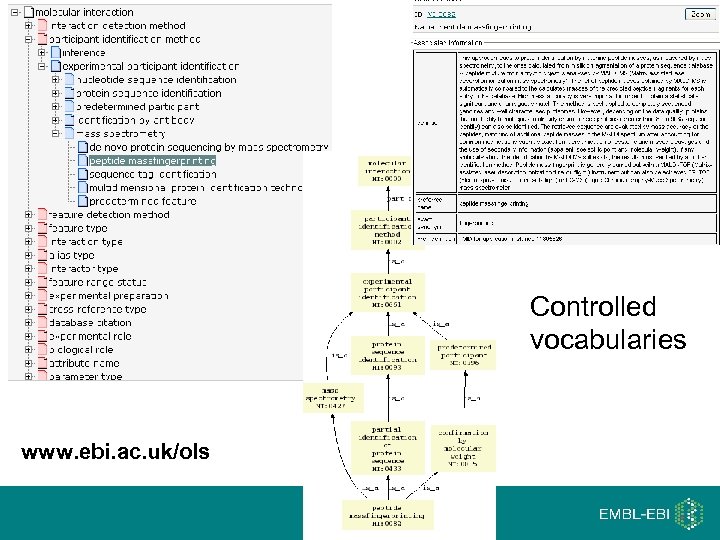 Controlled vocabularies www. ebi. ac. uk/ols 