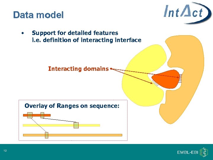 Data model • Support for detailed features i. e. definition of interacting interface Interacting