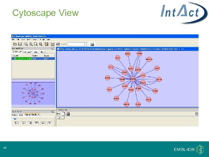 Cytoscape View 25 