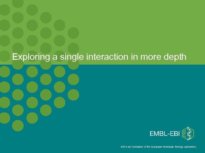 Exploring a single interaction in more depth EBI is an Outstation of the European