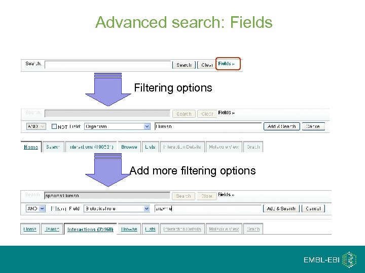 Advanced search: Fields Filtering options Add more filtering options 
