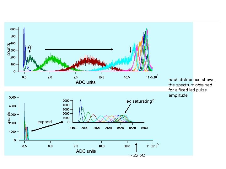 each distribution shows the spectrum obtained for a fixed led pulse amplitude led saturating?