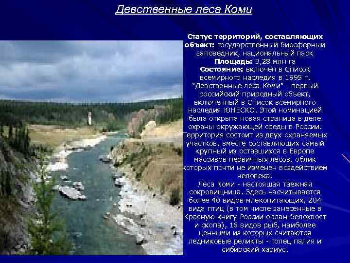 Девственные леса Коми Статус территорий, составляющих объект: государственный биосферный заповедник, национальный парк Площадь: 3,