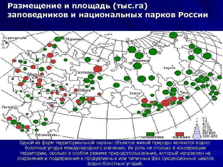 Размещение и площадь (тыс. га) заповедников и национальных парков России Одной из форм территориальной