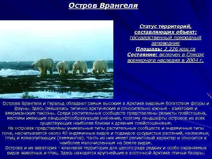 Остров врангеля всемирное наследие юнеско презентация