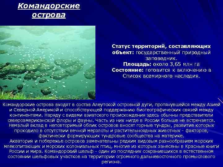 Командорские острова Статус территорий, составляющих объект: государственный природный заповедник. Площадь: около 3, 65 млн