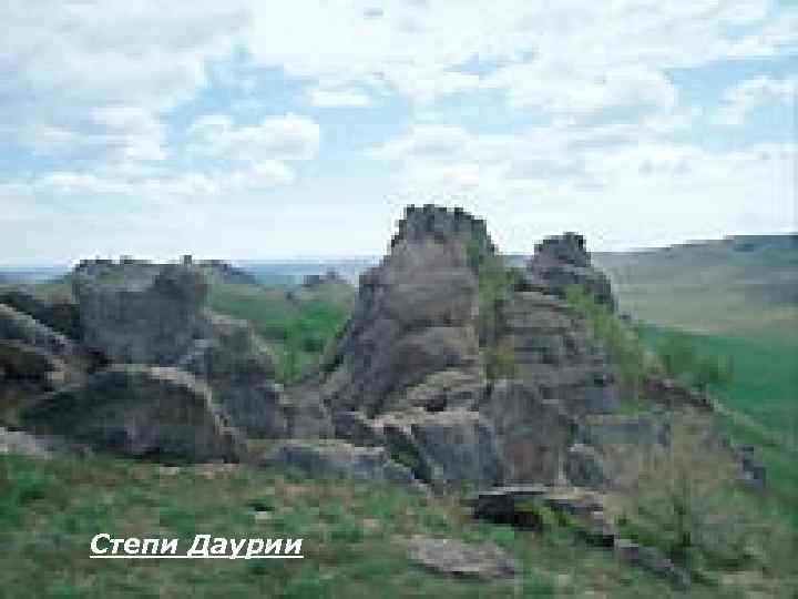 Степи Даурии 