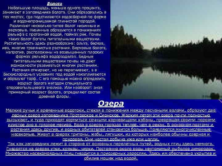 Болото Небольшую площадь, меньше одного процента, занимают в заповеднике болота. Они образовались в тех