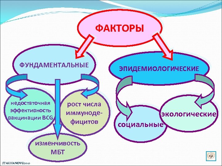 ФАКТОРЫ ФУНДАМЕНТАЛЬНЫЕ недостаточная эффективность вакцинации BCG рост числа иммунодефицитов изменчивость МБТ STAKHANOV© 2010 ЭПИДЕМИОЛОГИЧЕСКИЕ