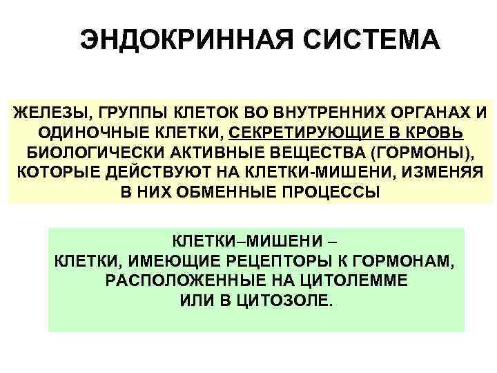 ЭНДОКРИННАЯ СИСТЕМА ЖЕЛЕЗЫ, ГРУППЫ КЛЕТОК ВО ВНУТРЕННИХ ОРГАНАХ И ОДИНОЧНЫЕ КЛЕТКИ, СЕКРЕТИРУЮЩИЕ В КРОВЬ