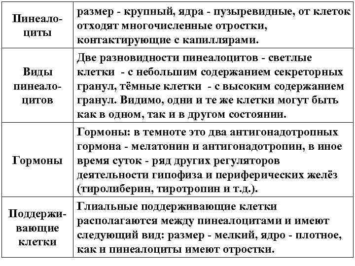 Пинеалоциты размер - крупный, ядра - пузыревидные, от клеток отходят многочисленные отростки, контактирующие с