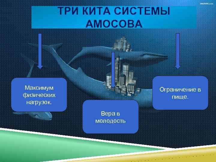 Система питания амосова презентация