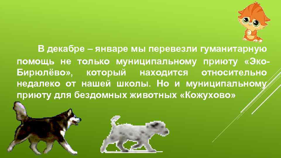 В декабре – январе мы перевезли гуманитарную помощь не только муниципальному приюту «Эко. Бирюлёво»