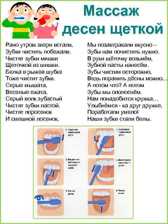 Массаж десен щеткой Рано утром звери встали, Зубки чистить побежали. Чистят зубки мишки Щеточкой