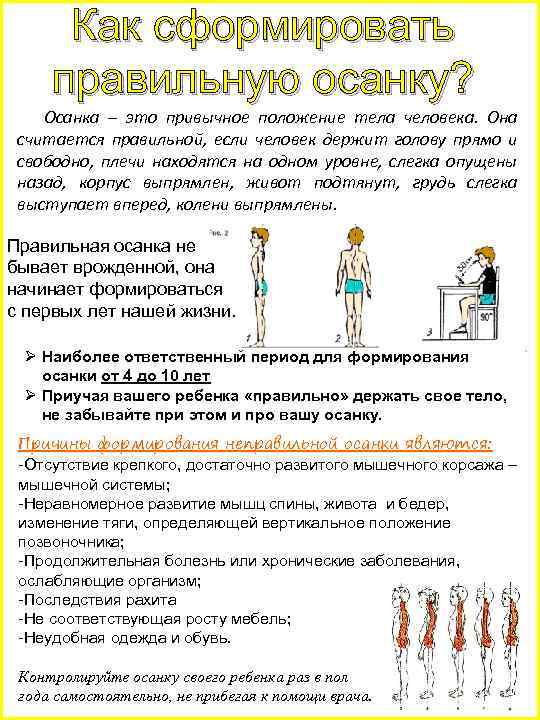 Как сформировать правильную осанку? Осанка – это привычное положение тела человека. Она считается правильной,