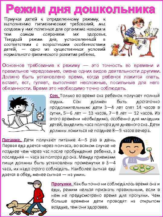 Режим дня дошкольника Приучая детей к определенному режиму, к выполнению гигиенических требований, мы создаем