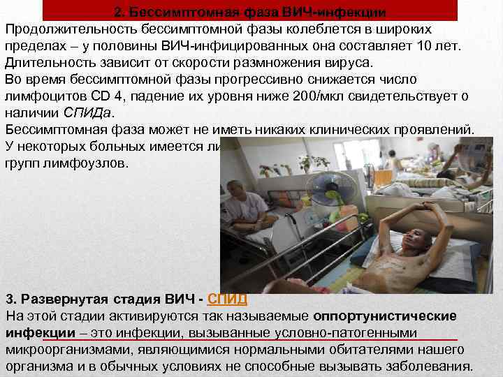 2. Бессимптомная фаза ВИЧ-инфекции Продолжительность бессимптомной фазы колеблется в широких пределах – у половины