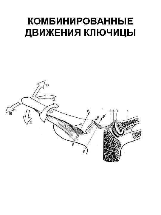 КОМБИНИРОВАННЫЕ ДВИЖЕНИЯ КЛЮЧИЦЫ 