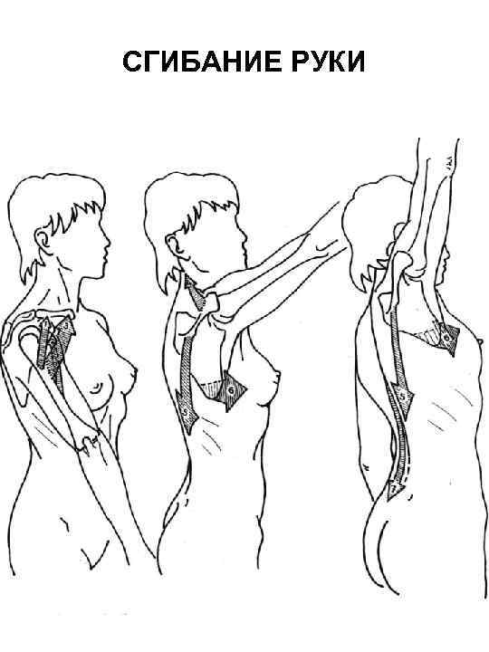 СГИБАНИЕ РУКИ 