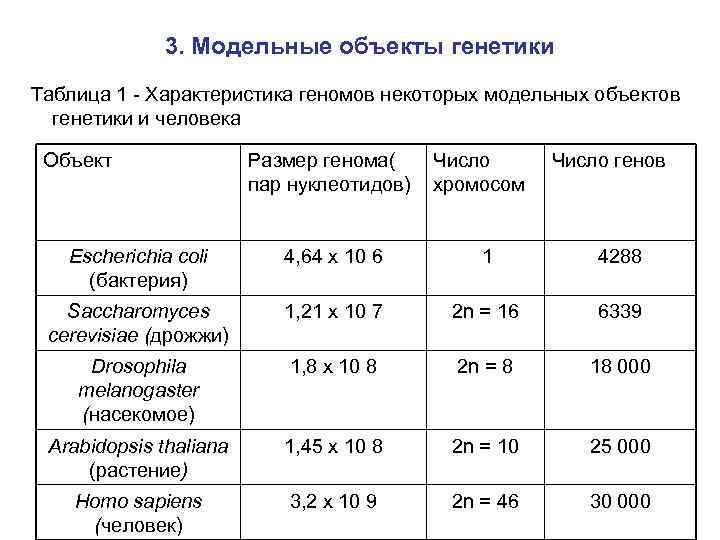 3. Модельные объекты генетики Таблица 1 - Характеристика геномов некоторых модельных объектов генетики и