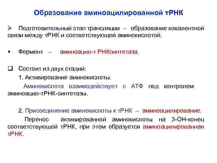 Образование аминоацилированной т. РНК Ø Подготовительный этап трансляции – образование ковалентной связи между т.