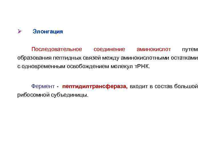 Ø Элонгация Последовательное соединение аминокислот путем образования пептидных связей между аминокислотными остатками с одновременным