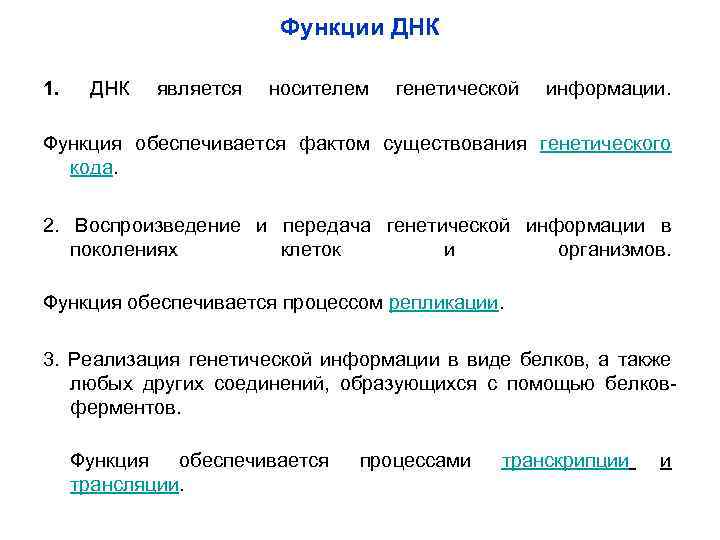 Функции передачи наследственной информации выполняют. Функции ДНК. Роль ДНК. Основные функции ДНК.