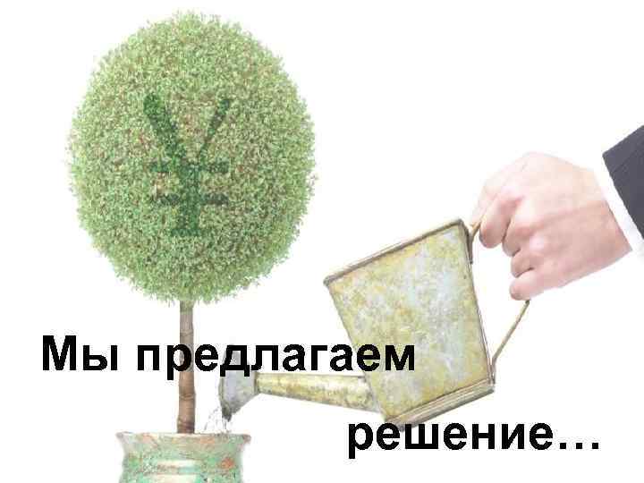 Мы предлагаем решение… 