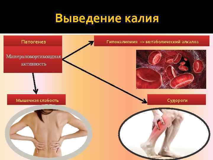 Выведение калия Патогенез Гипокалиемия => метаболический алкалоз Минералокортикоидная активность Мышечная слабость Судороги 