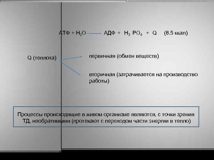 АТФ + Н 2 O Q (теплота) АДФ + Н 3 PO 4 +