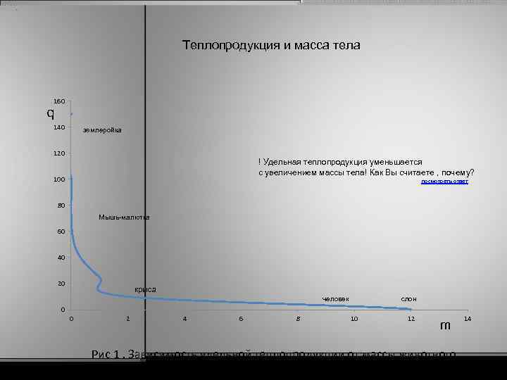 Теплопродукция и масса тела 160 q 140 землеройка 120 ! Удельная теплопродукция уменьшается с