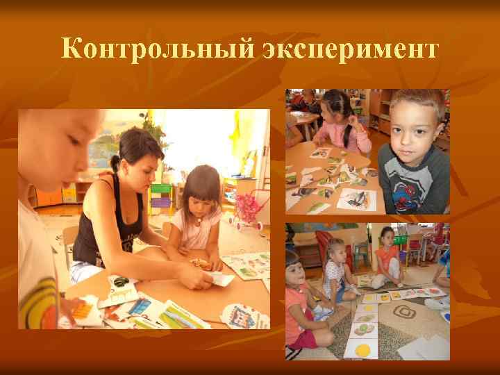 Контрольный эксперимент 