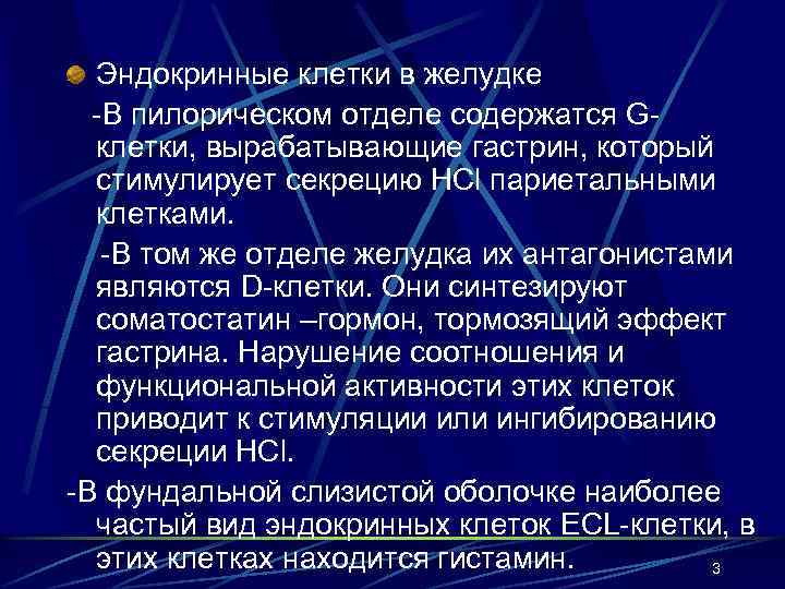 Эндокринные клетки в желудке -В пилорическом отделе содержатся Gклетки, вырабатывающие гастрин, который стимулирует секрецию