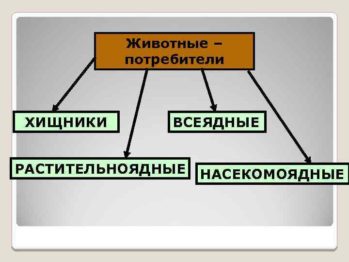 Животные – потребители ХИЩНИКИ ВСЕЯДНЫЕ РАСТИТЕЛЬНОЯДНЫЕ НАСЕКОМОЯДНЫЕ 