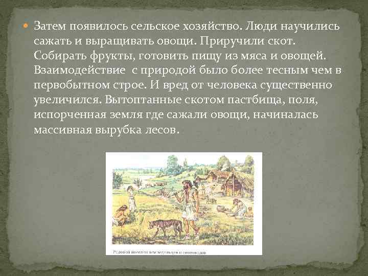  Затем появилось сельское хозяйство. Люди научились сажать и выращивать овощи. Приручили скот. Собирать