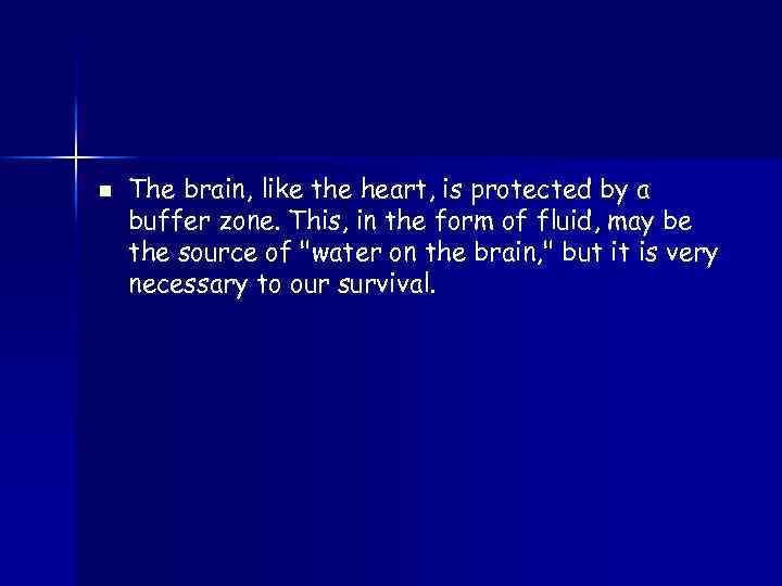 n The brain, like the heart, is protected by a buffer zone. This, in