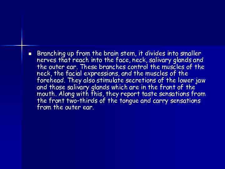 n Branching up from the brain stem, it divides into smaller nerves that reach