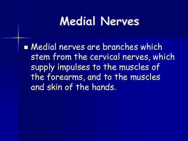 Medial Nerves n Medial nerves are branches which stem from the cervical nerves, which
