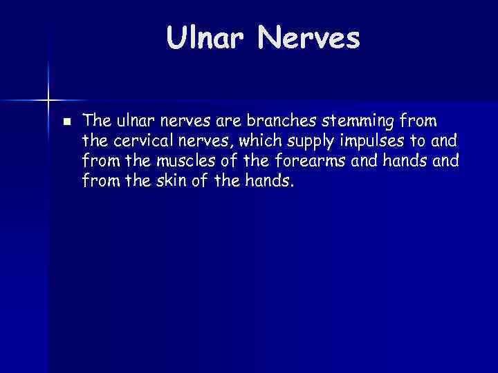 Ulnar Nerves n The ulnar nerves are branches stemming from the cervical nerves, which