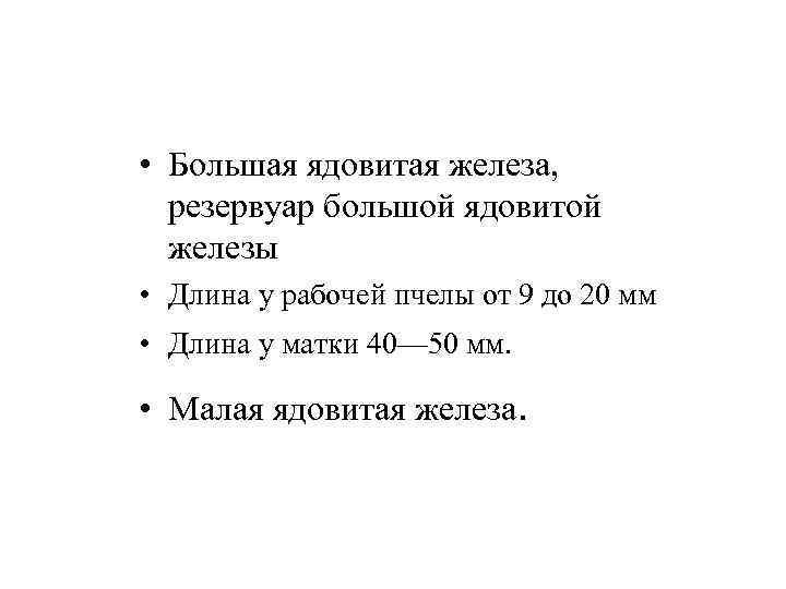  • Большая ядовитая железа, резервуар большой ядовитой железы • Длина у рабочей пчелы