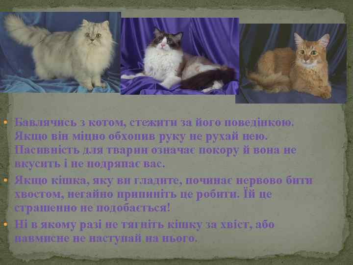  • Бавлячись з котом, стежити за його поведінкою. Якщо він міцно обхопив руку