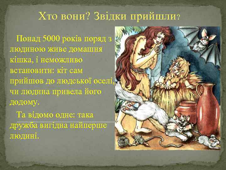 Хто вони? Звідки прийшли ? Понад 5000 років поряд з людиною живе домашня кішка,