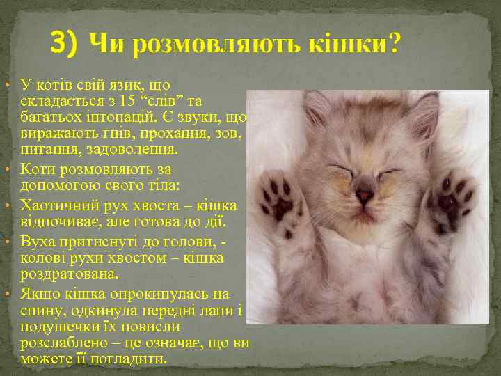 3) Чи розмовляють кішки? • У котів свій язик, що • • складається з