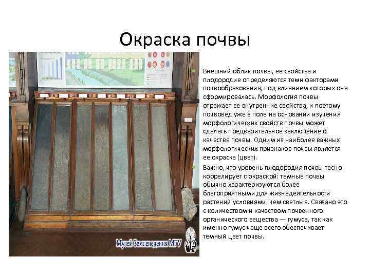 Окраска почвы Внешний облик почвы, ее свойства и плодородие определяются теми факторами почвообразования, под