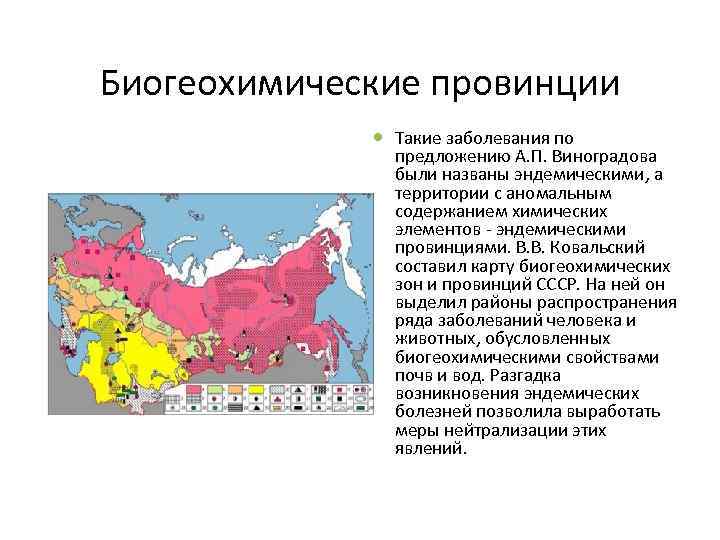 Биогеохимические провинции Такие заболевания по предложению А. П. Виноградова были названы эндемическими, а территории