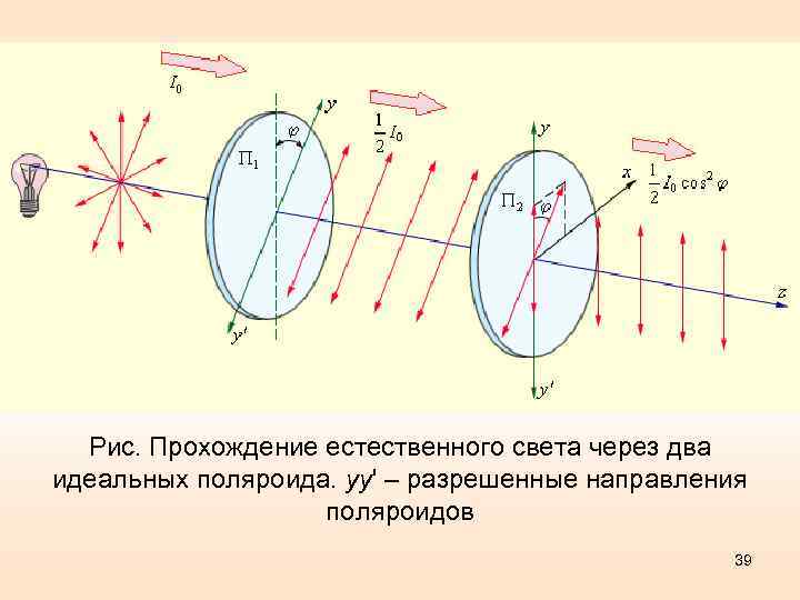 Рис. Прохождение естественного света через два идеальных поляроида. yy' – разрешенные направления поляроидов 39