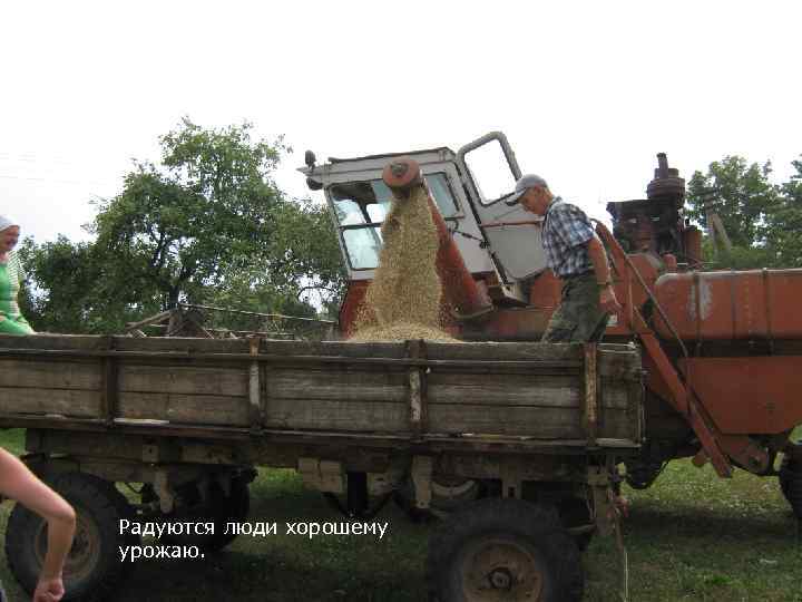 Радуются люди хорошему урожаю. 