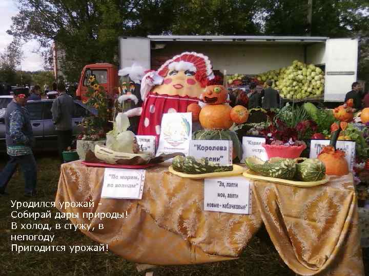 Уродился урожай Собирай дары природы! В холод, в стужу, в непогоду Пригодится урожай! 